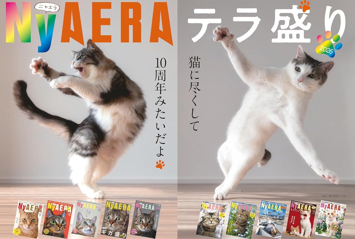 NyAERA」10周年記念号、猫好き有名人総出演で登場