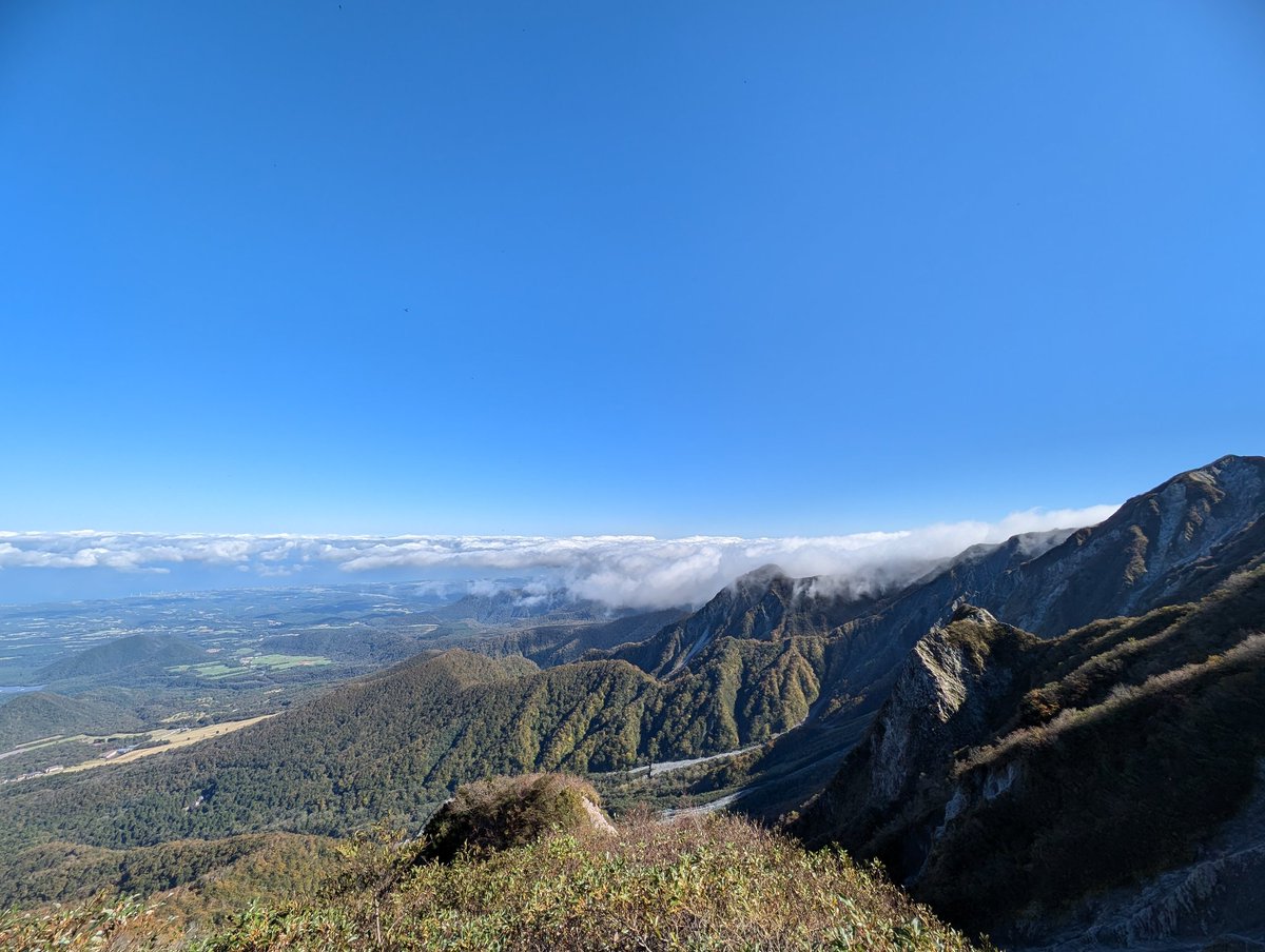 お疲れ様です😊( ´ ▽ ` ) 今日もイイねや反応、本当にありがとう