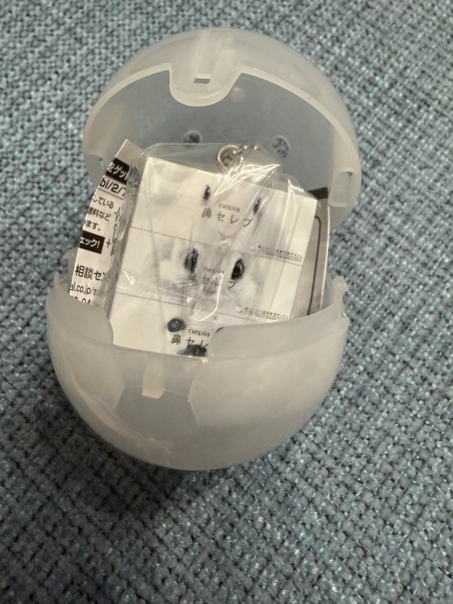 【取引垢 閲覧専用】キミ tweet media