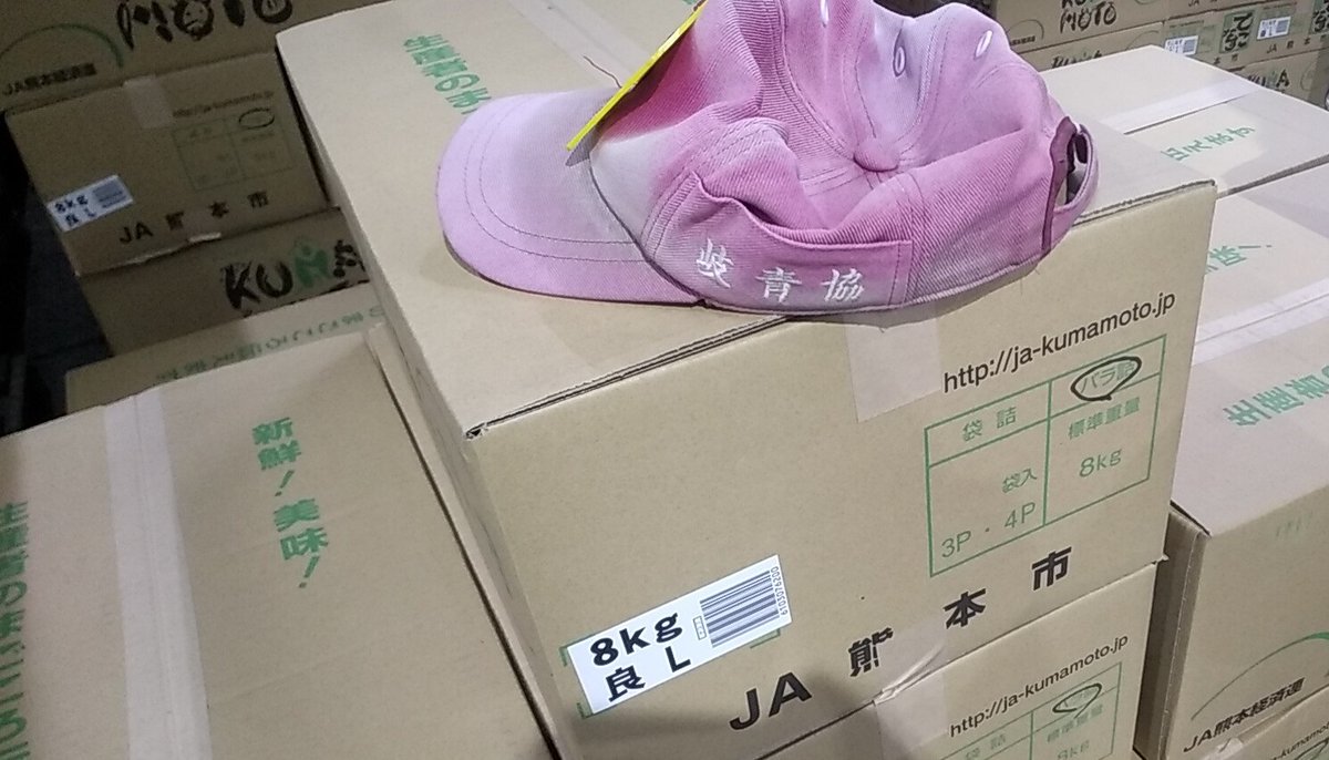 カプセル【とみなが】 tweet media