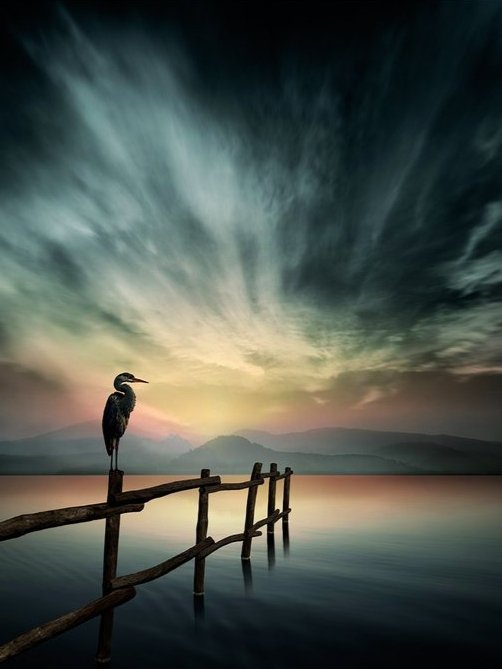 Spezialaccount's tweet photo. Good morning 😊🐦🙋‍♀️ https://t.co/h0dzeuk1Dx