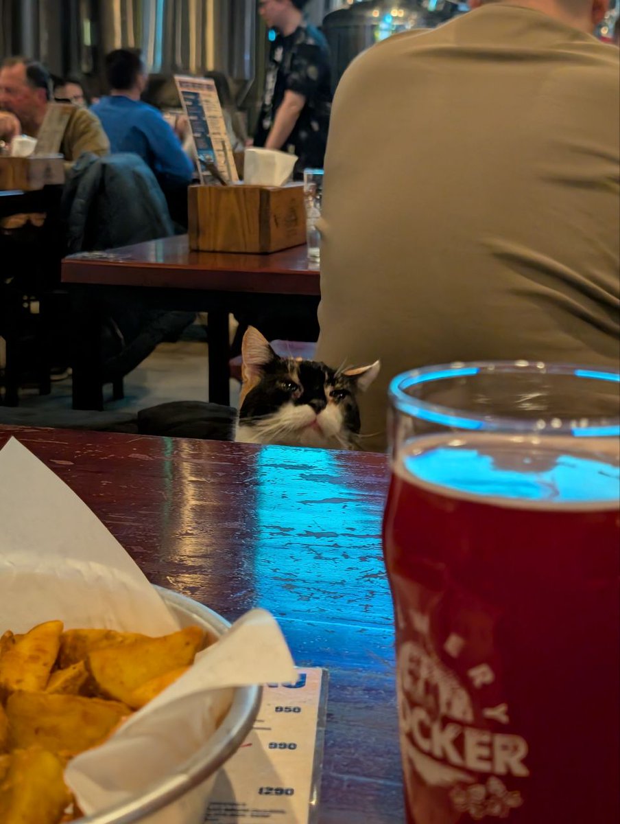 в каждой фразе по базе 🏳️🌈 tweet media