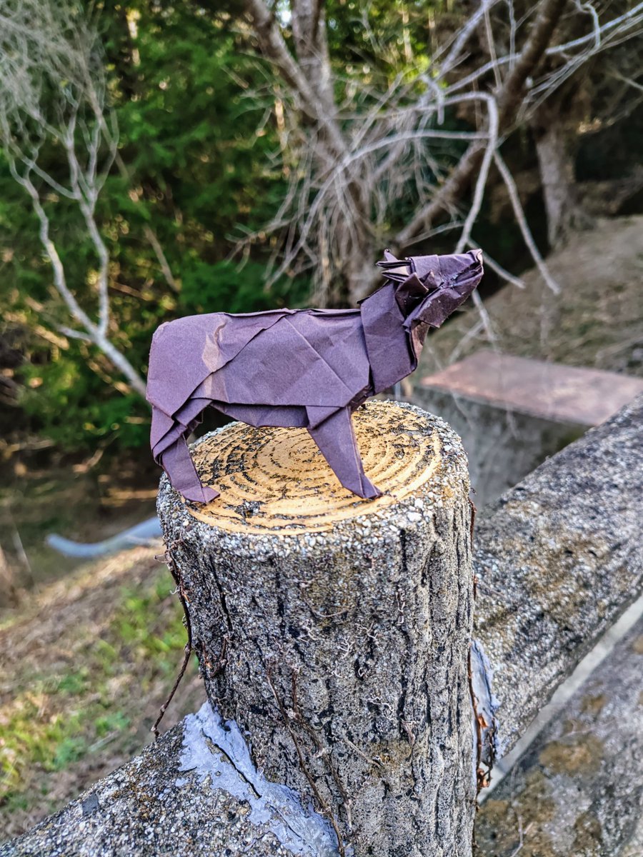 #超絶のおりがみ 
神谷哲史さん創作
「カモシカ」
paper 30センチビオトープ
なんかいまいち上手く折れなかった。
顔の立体感を出すのが難しい。
#神谷哲史さん #カモシカ 
#折り紙 #折り紙作品