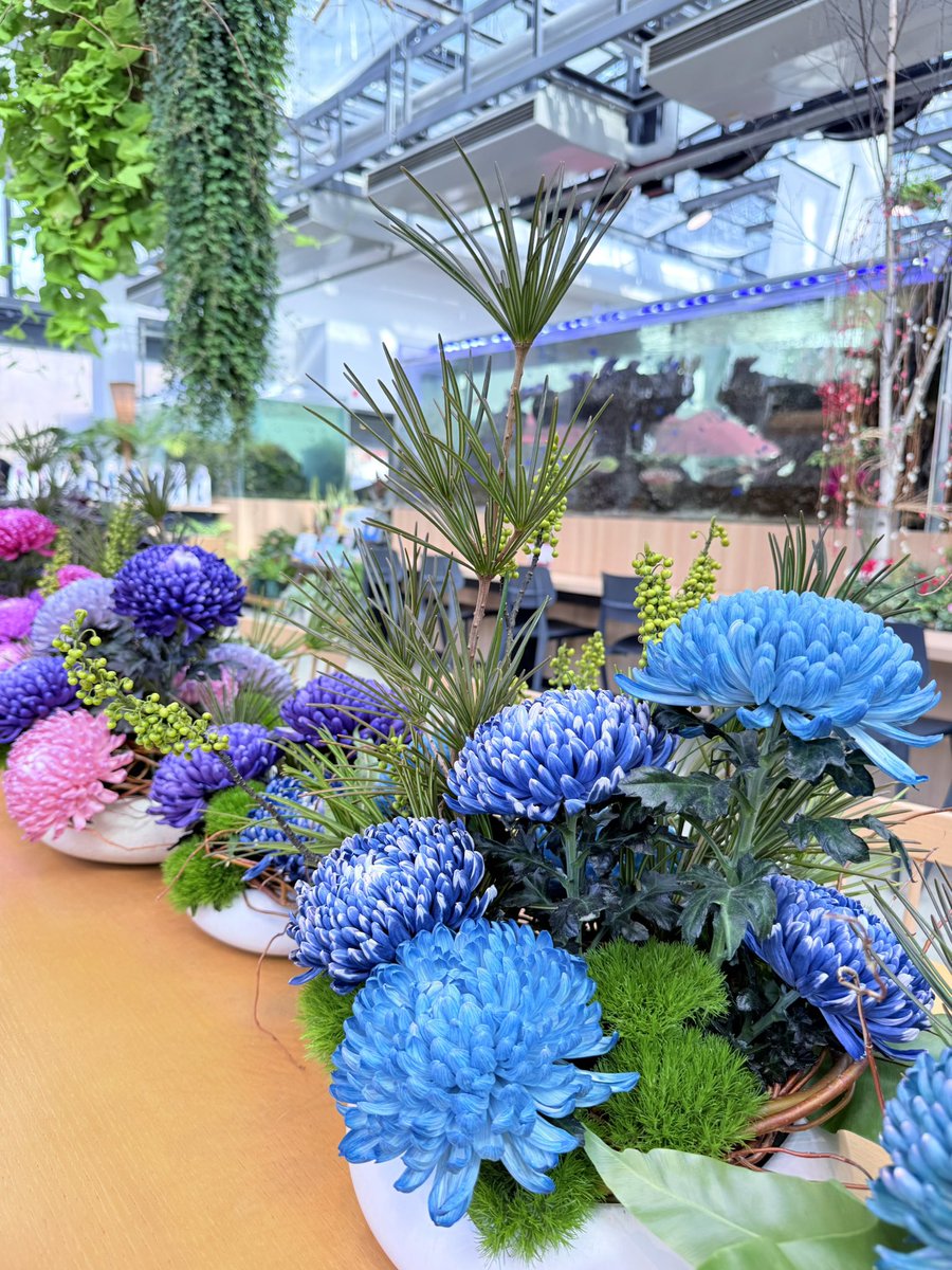 HANA・BIYORI 【公式】 (@Hanabiyori8717) / Posts / X