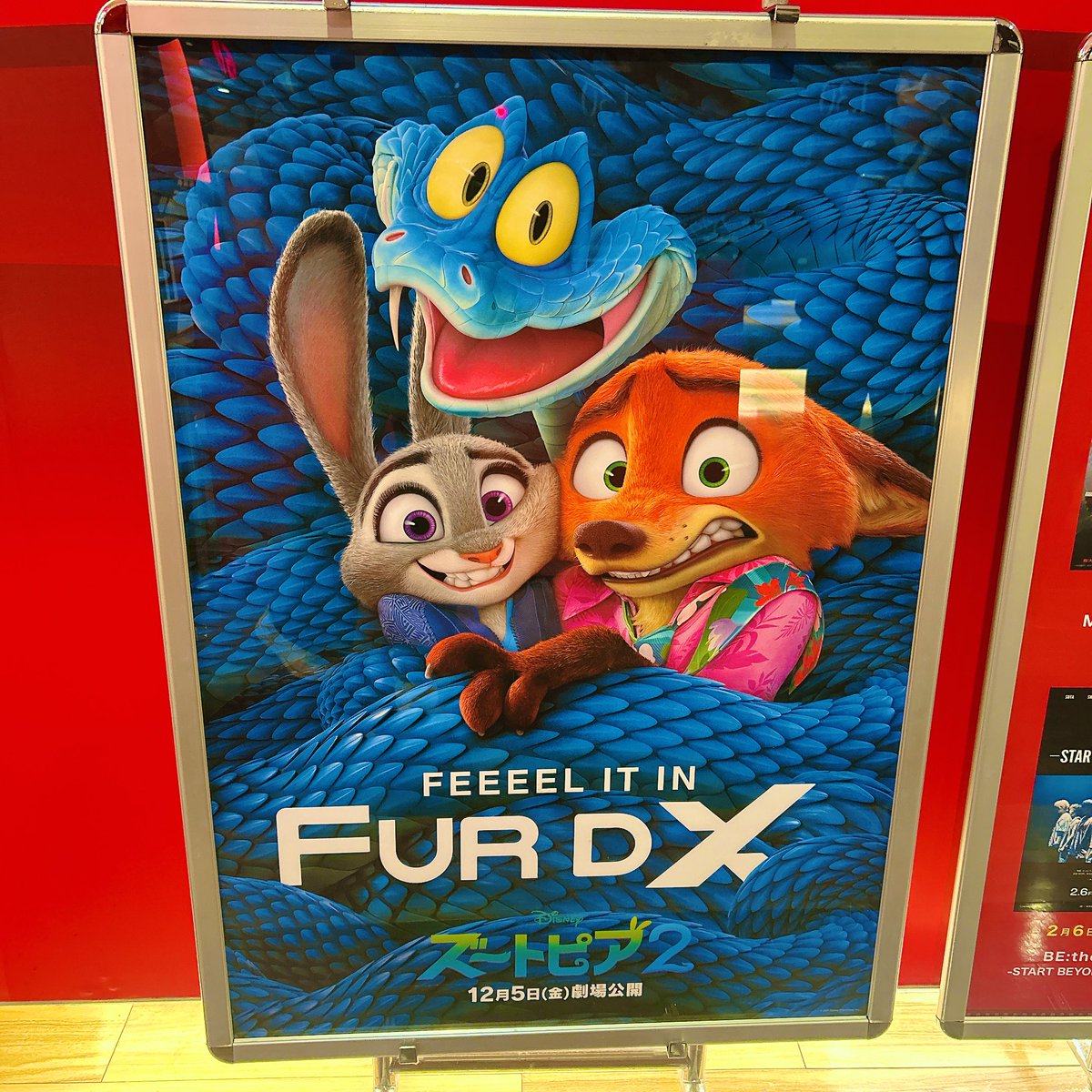 はるさめ🐈‍⬛ (@same13redzone) / Posts / X