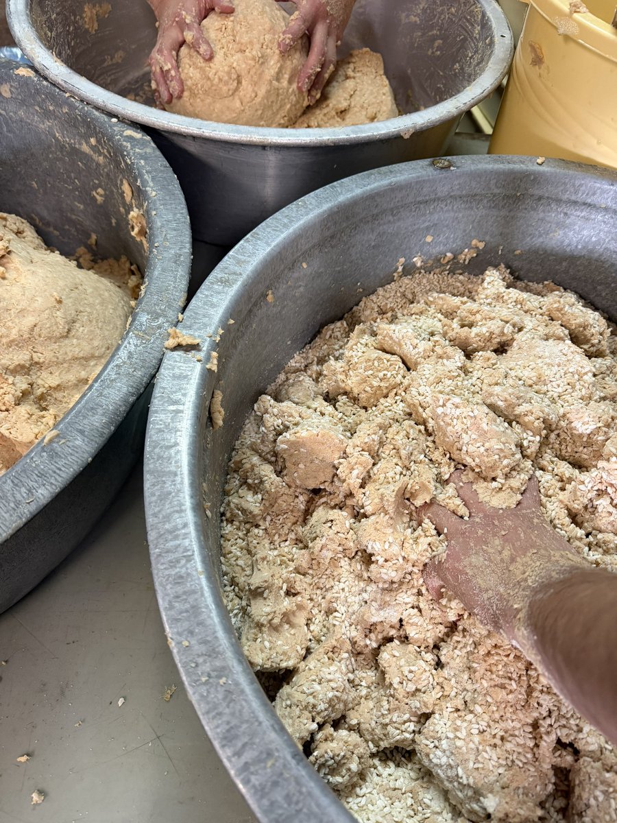 sato_miso's tweet photo. 味噌の仕込みが続いています。江戸時代から続く米麹を使用して熟成させている味噌は大原では、民宿大原の里　と　味噌庵　だけです。昔ながらの手作業での仕込みです。

#民宿大原の里
#大原温泉
#味噌庵
#日帰り温泉
#鯖の味噌煮
#京都大原 https://t.co/ITuJLRXB9M