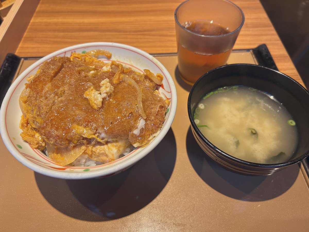 雪がぱらぱら❄️☃️綺麗✨
レッスン前は少し降っていましたが、
運良くピタリと止みました🌟
電車も遅延なくて良かった😭

レッスン頑張ったご褒美にやよい軒へ🍚
ご飯おかわり目的だったのに
なぜかカツ丼を選ぶ私😳笑
でも最高に美味しかったです🥰
オーディションにカツ‼️✊