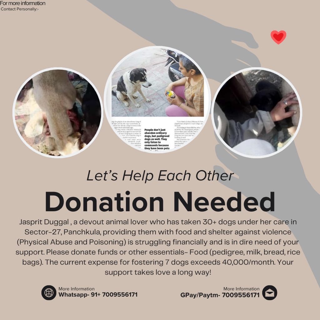 KJS DHILLON🇮🇳 tweet media