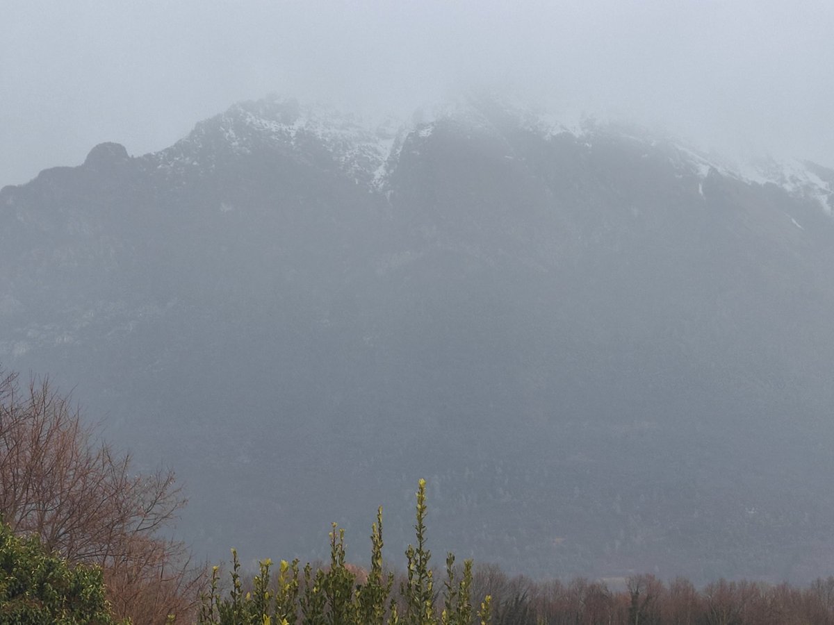 galloforcello2's tweet image. Ehm... Vega lo so che vuoi andare a correre ma aspettiamo ad andare là...
Alle 10:00 cesserà e magicamente i #runners spunteranno come funghi.

L' #arpav non sbaglia un colpo.