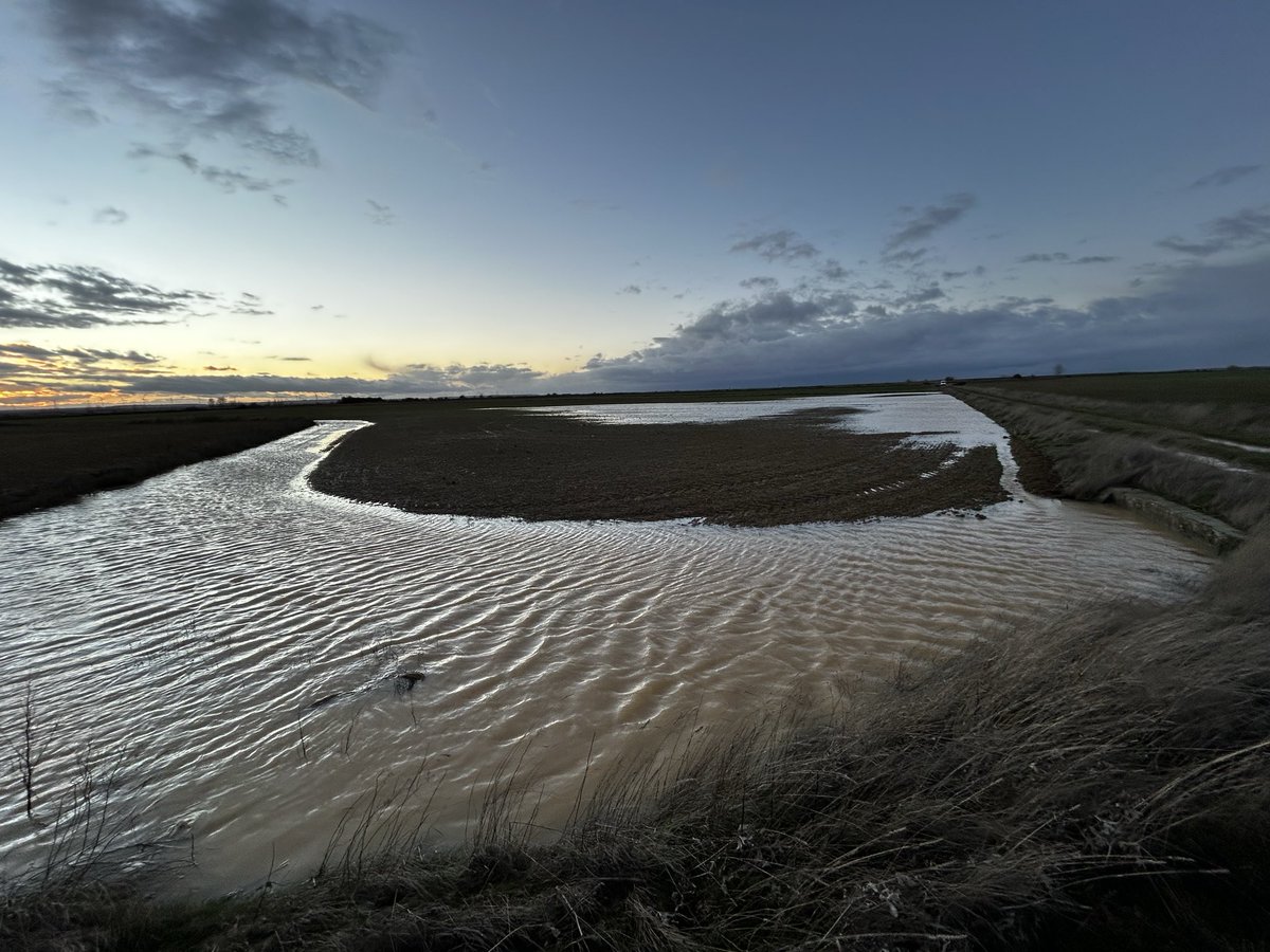 ismamanqui's tweet photo. @agropopular Buenos días desde Manquillos(Palencia),pues como todos los años debido a la incompetencia de la CHD, viene más agua por fuera del Río y de los arroyos que por dentro ocasionando muchas perdidas! #AgropopularBorrascas Manuel de falla https://t.co/dcAaF5wt2j