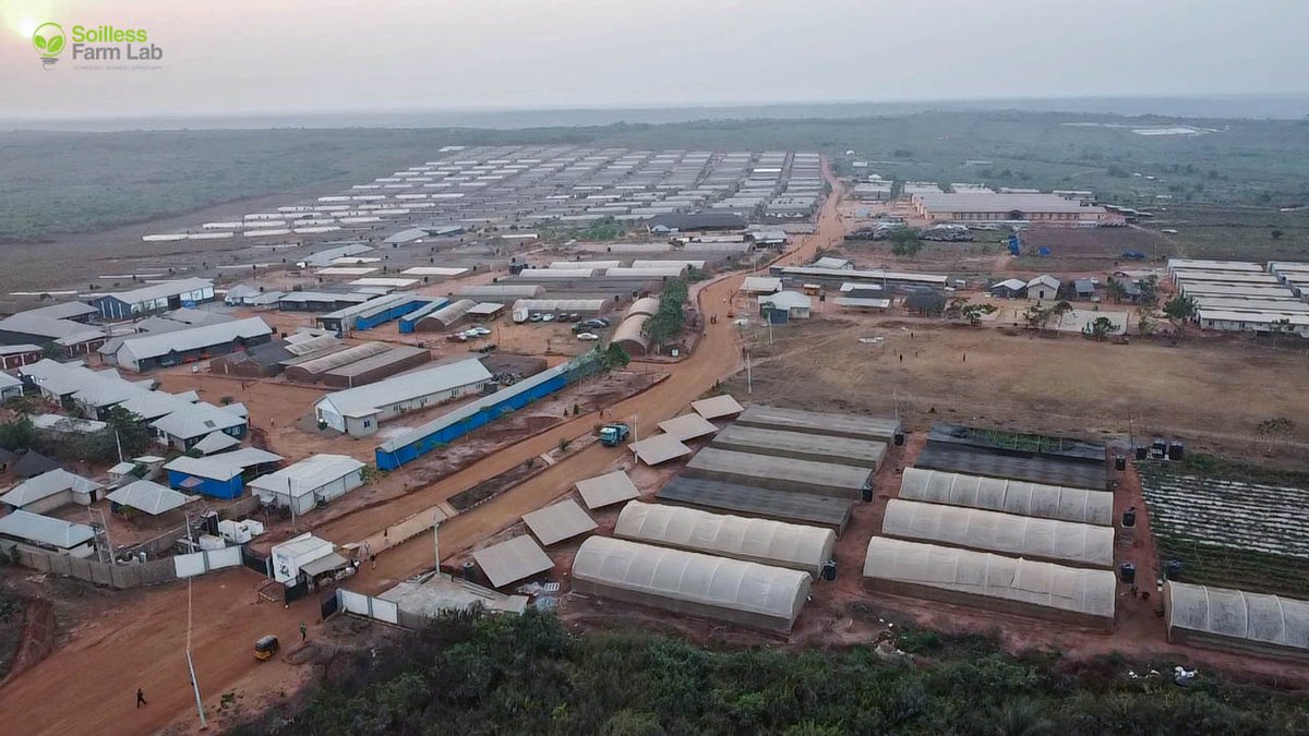 Soilless Farm Lab tweet media