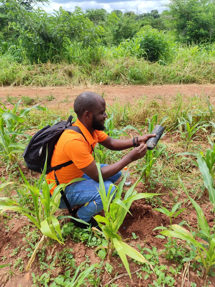 Yesterday the Orange family took their time to plant green in a course of preserving nature, and I am proud to have taken part in that activity. I wish to see more organizations conducting such activities in future. Big up VisionFund Malawi #orange #green #vor #trees