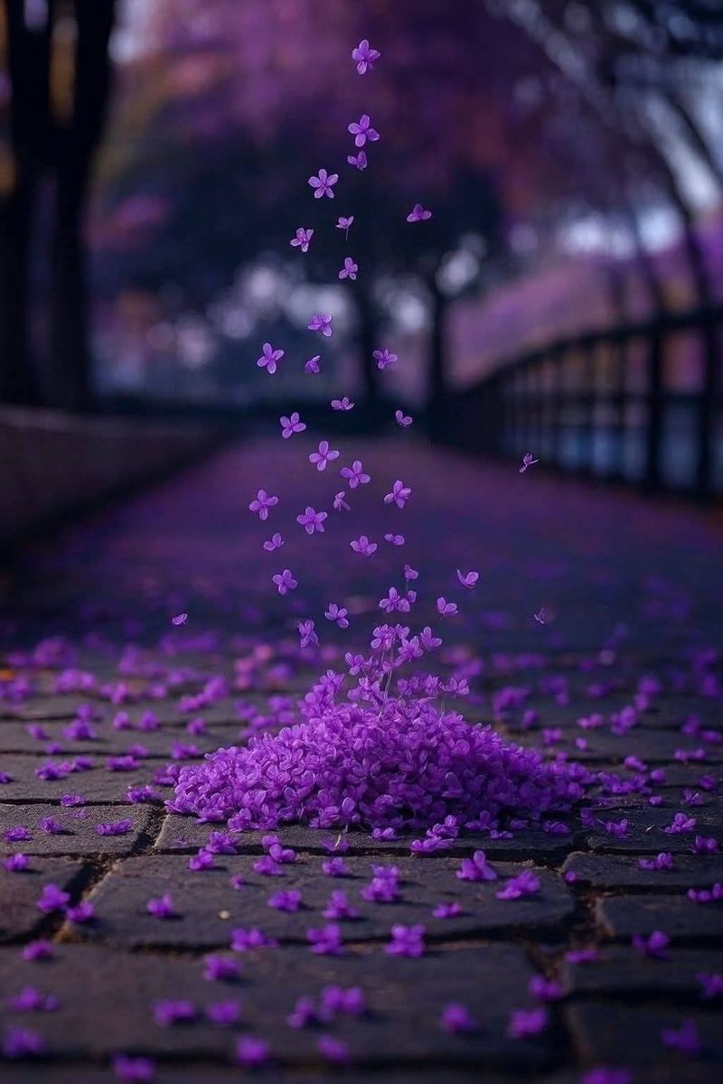 اللهم...
أياما خاليه من كل شعور سيىء.
صباح الخير.....💜💜