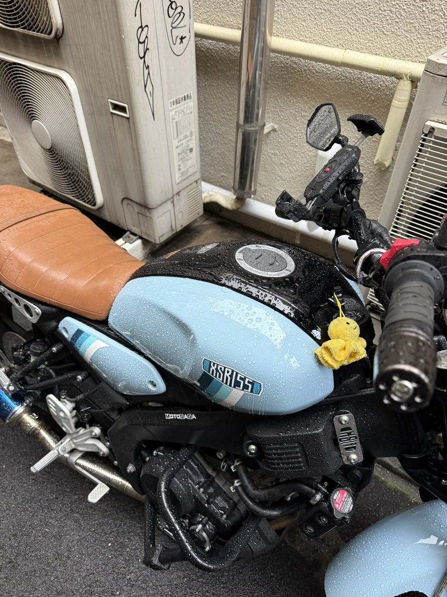 ゆうこりん (@yuukorin0527) / Posts / X