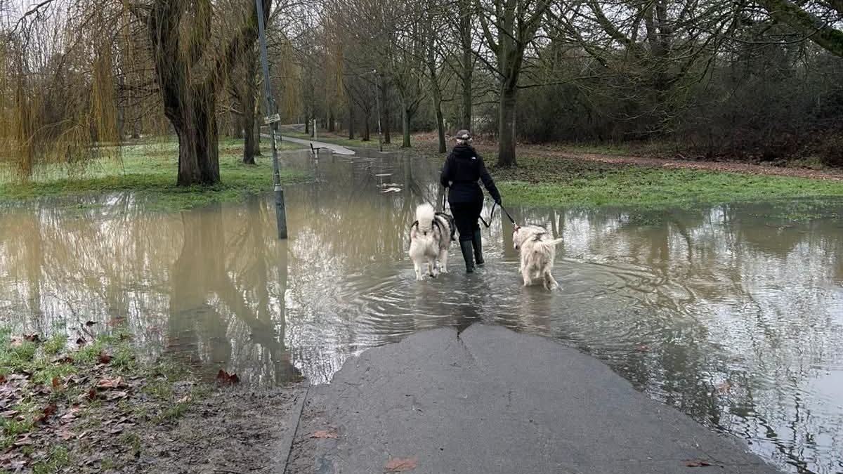 Chelmsford parkrun tweet media