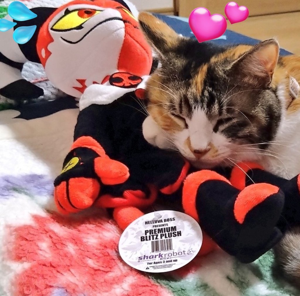 波留(はる) tweet media