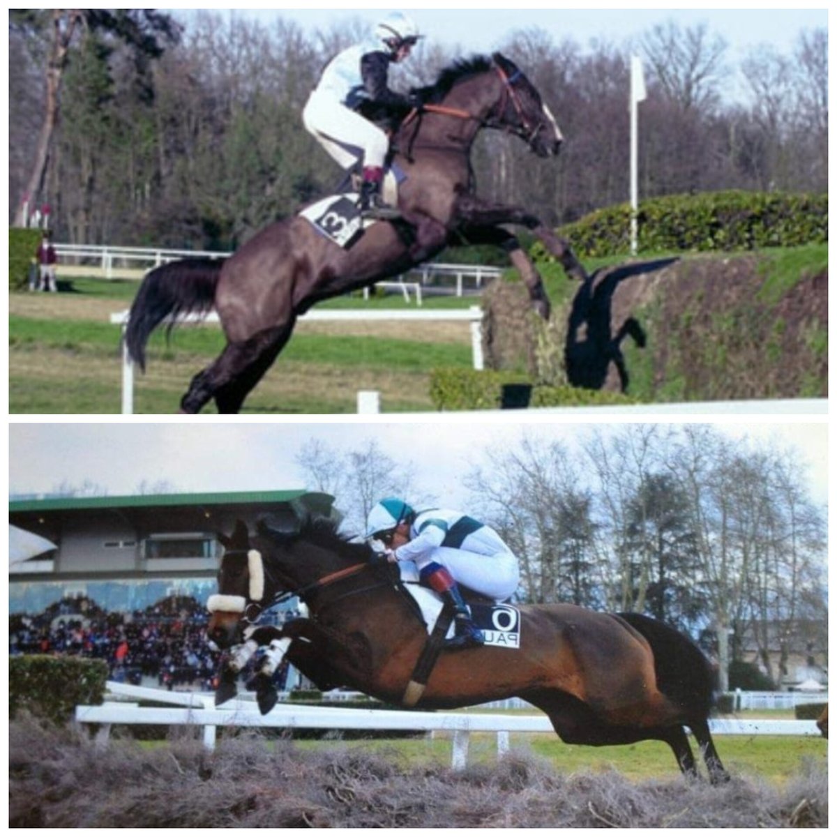 Dimanche, dans le Grand Cross de Pau, Hip Hop Conti (E. Clayeux) va tenter de rejoindre deux légendes du cross palois avec un quatrième sacre dans l'épreuve reine.

🐴 Fairplay         2002|2004|2005|2006
🐴 Malberaux   2009|2010|2011|2012