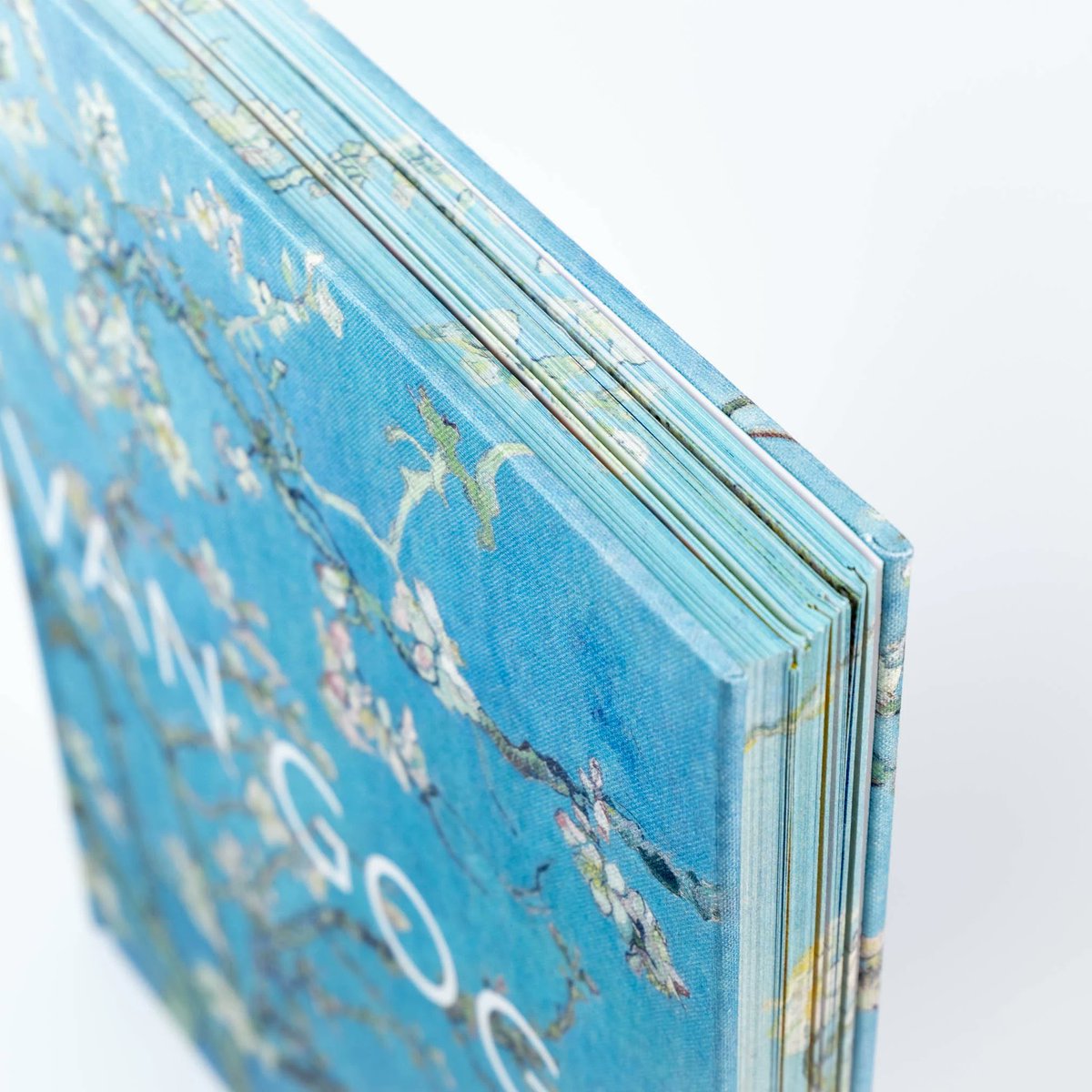 図版の一部は折り込みになっていて、こんな感じで広げることができます