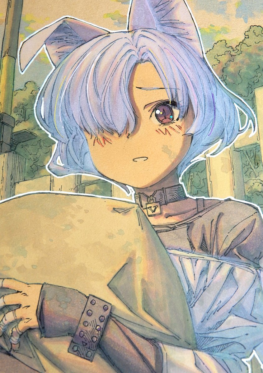 アナログ2443：タオルケット・メモリーズ】久々屑猫。あの気持ちよさを