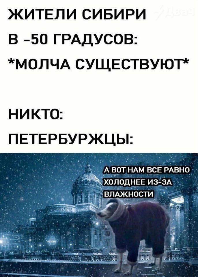 Доброе утро.
