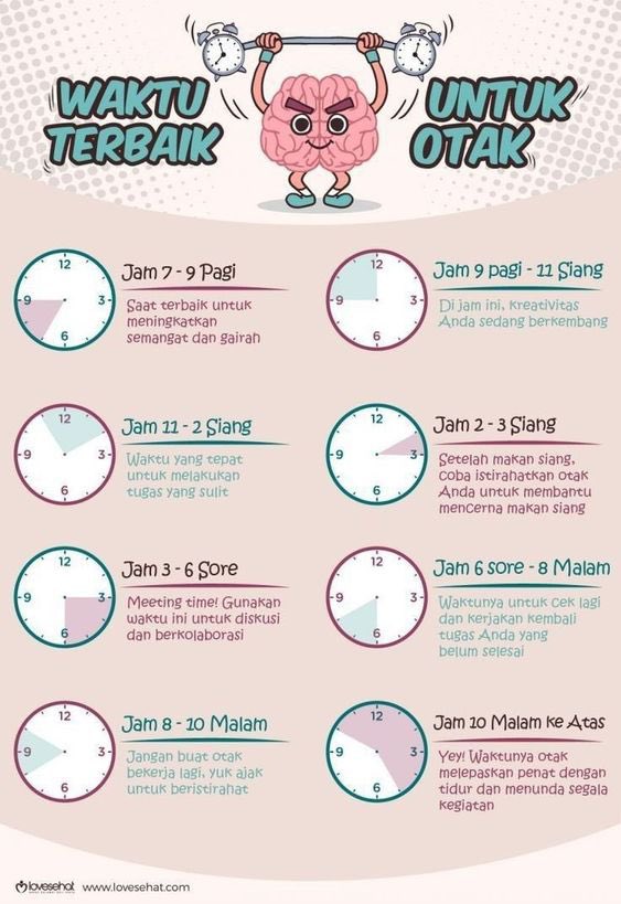 Kenapa ada jam-jam tertentu otak terasa “encer”, tapi di jam lain malah buntu? 🧠⏰
Bukan malas. Bisa jadi kamu melawan ritme alami otak.

Otak manusia bekerja mengikuti pola energi harian. Kalau tahu kapan waktu terbaiknya, belajar dan kerja bisa jauh lebih efektif tanpa