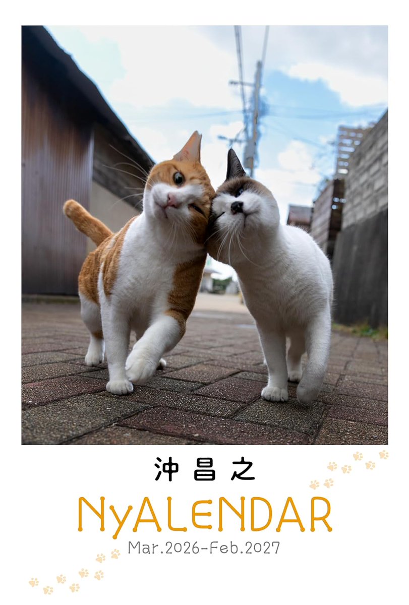 2月14日発売の NyAERA 2026 テラ盛り 特別付録 3月から使える 2026年