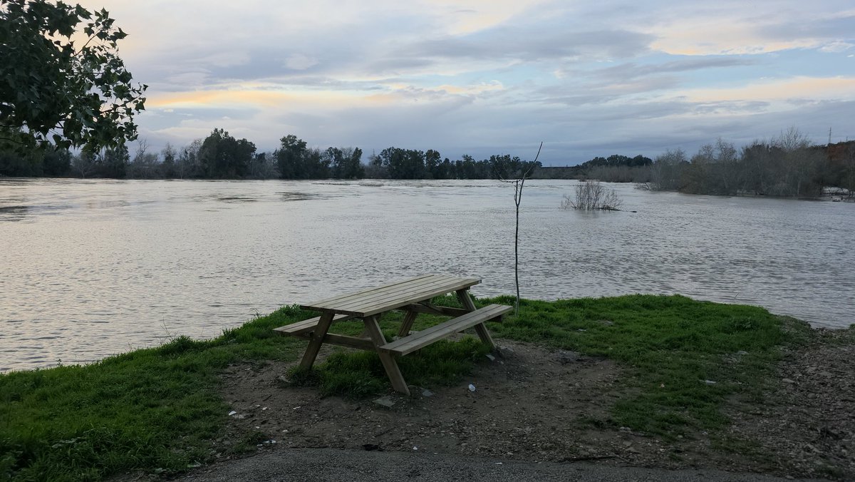 PEDROLRM's tweet photo. @agropopular Buenos y lluviosos días desde Alcolea del Río (Sevilla) con una temperatura de 7° C y una máxima prevista de 14° C, la respuesta a la pregunta formulada en el concurso de hoy es "MANUEL DE FALLA" buen fin de semana para todos los Agropopuleros y familias. #AgropopularBorrascas https://t.co/CwaAO0lpO9
