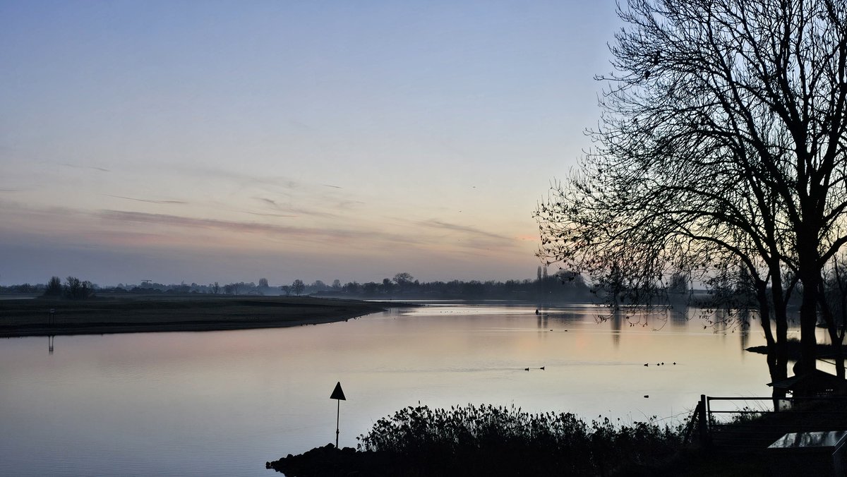 Motormiss's tweet image. Wat een heerlijke start van de dag. Met een grote boom in een kleine druppel en pastelkleuren aan de horizon waar de zon goud van maakte zodra ze boven kwam 👀📸
#Andel #Altena #afgedamdemaas #zonsopgang