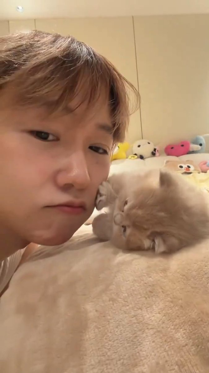 yuyu ᜌᜓᜌᜓ 🍉 (@yuyu_finale) / Posts / X