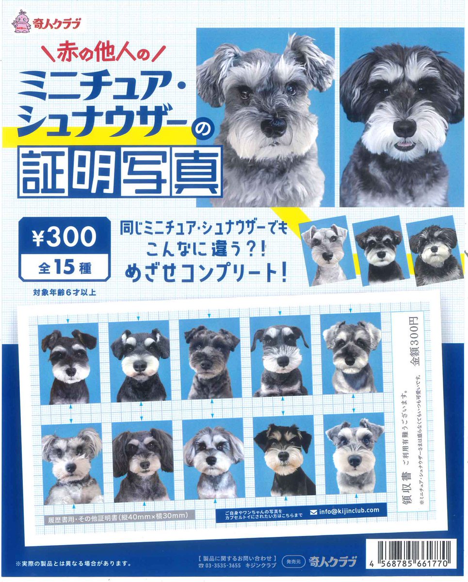 シュナウザー☆確認用 💐完売のお知らせ💐 📍ミニチュアシュナウザーの証明写真 ご好評につき