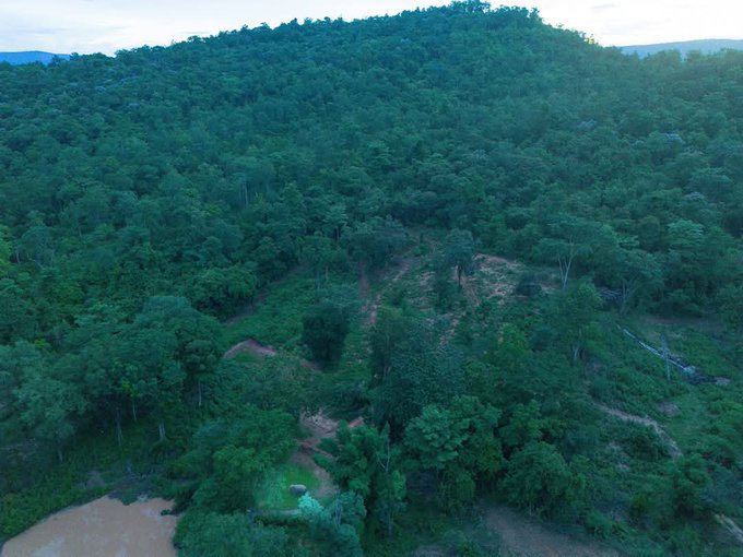 อ่านเจอเม้นนึง มีการบอกว่าถ้าไม่มีพวกมันเข้าไปฟื้นฟู ก็ไม่มีใครมาเที่ยวหรอก ถ้ากรมที่ดินลองขยันตรวจสอบดีๆ อาจจะไม่ได้มีแค่ไร่อิแก่คนฟ้องช้างคนเดียวล้ะมั้ง ดูเป็นเดือดเป็นร้อนแทนกันเยอะมาก เหมือนกลัวธุรกิจตัวเองซวยไปด้วย มีคนกางแผนที่ ป่าก็ดูแหว่งและเจอคนรุกป่าจีงนะคะ 
#สีดอหูพับ