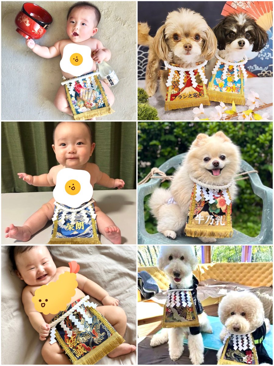 🐤カッチョ | ハンドメイド作家 (@chick_2_picnic) / Posts / X