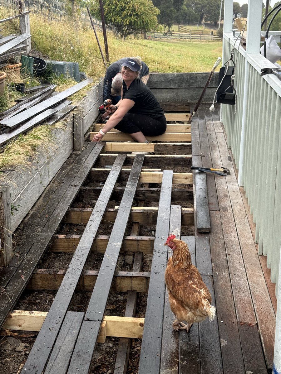 Dave Flower tweet media