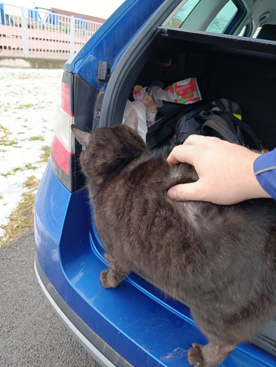 Kocour okruhový 😁 a vtíravý 😺