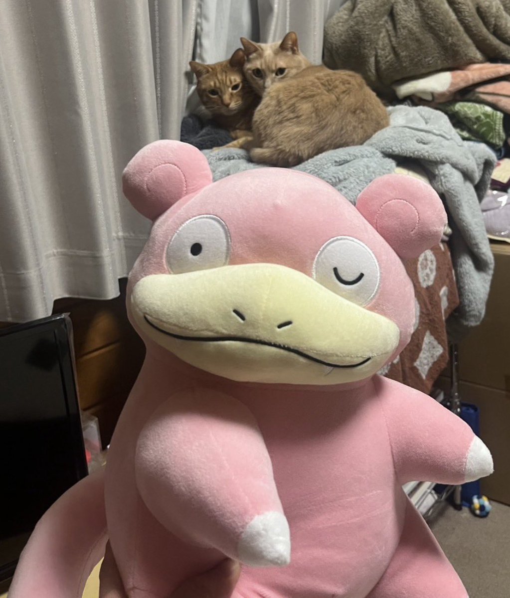 こないだ夫がヤドンちゃんとってきてくれた！うちのヤドンちゃんと