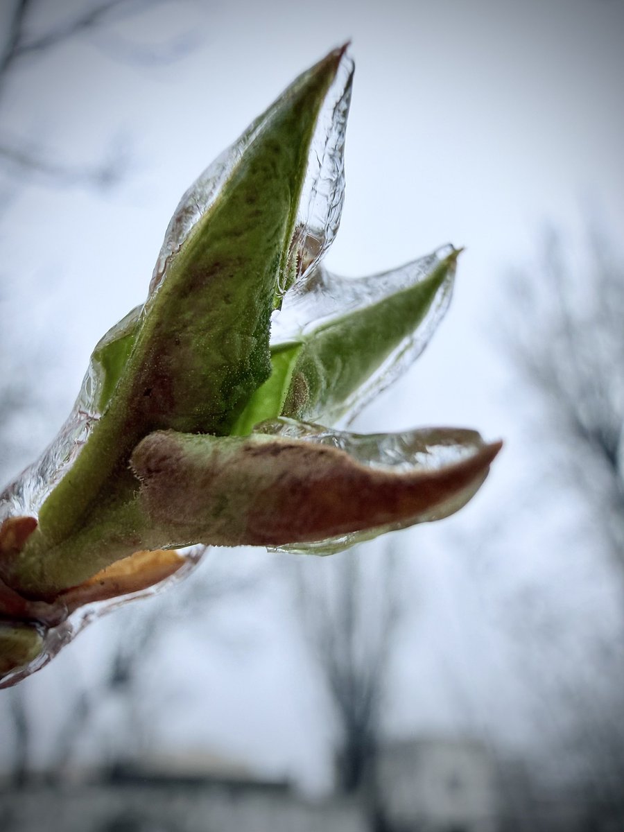 Kozhn0musvoye's tweet image. ймовірно буде весна