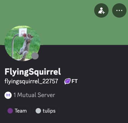 Yankee Ruin X💥 tweet media