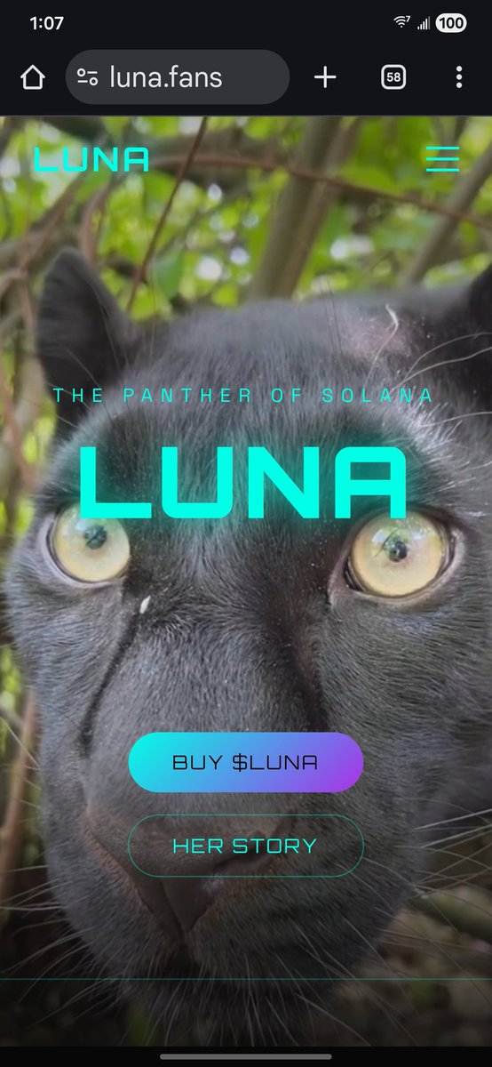 $LUNA website live.

Check it out

LUNA.Fans