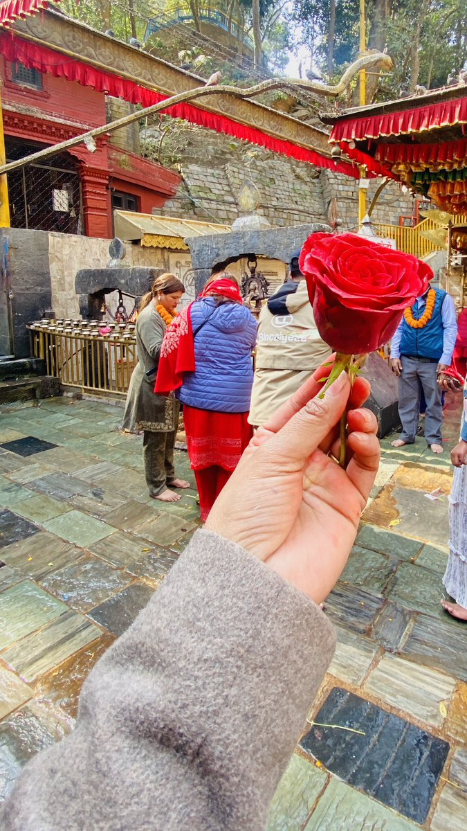 Some roses are for people, some are for the divine. 
Happy Rose Day from Dakshinkali Temple .🌹🙏