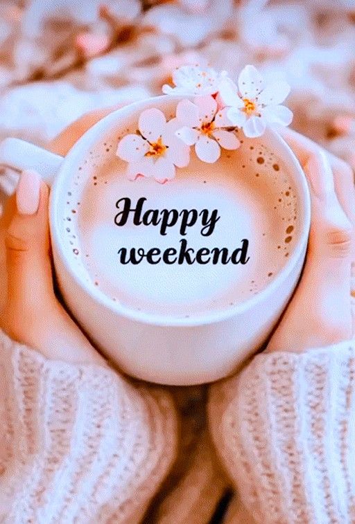 kaceykells  tweet media