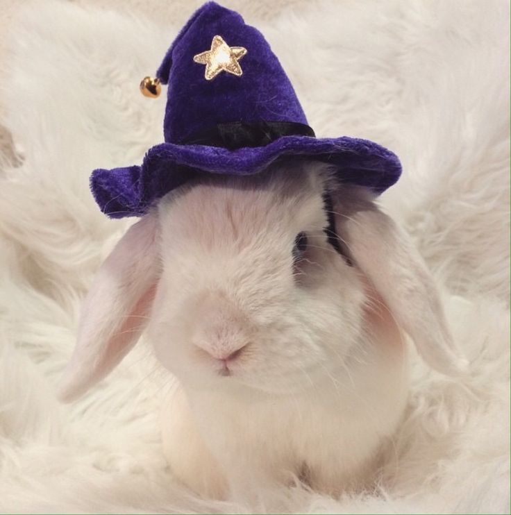 axel ☆ will byers defender tweet media