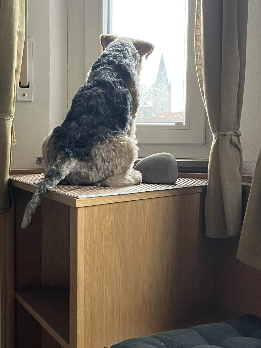 Just following the busy hustle and bustle at the cathedral