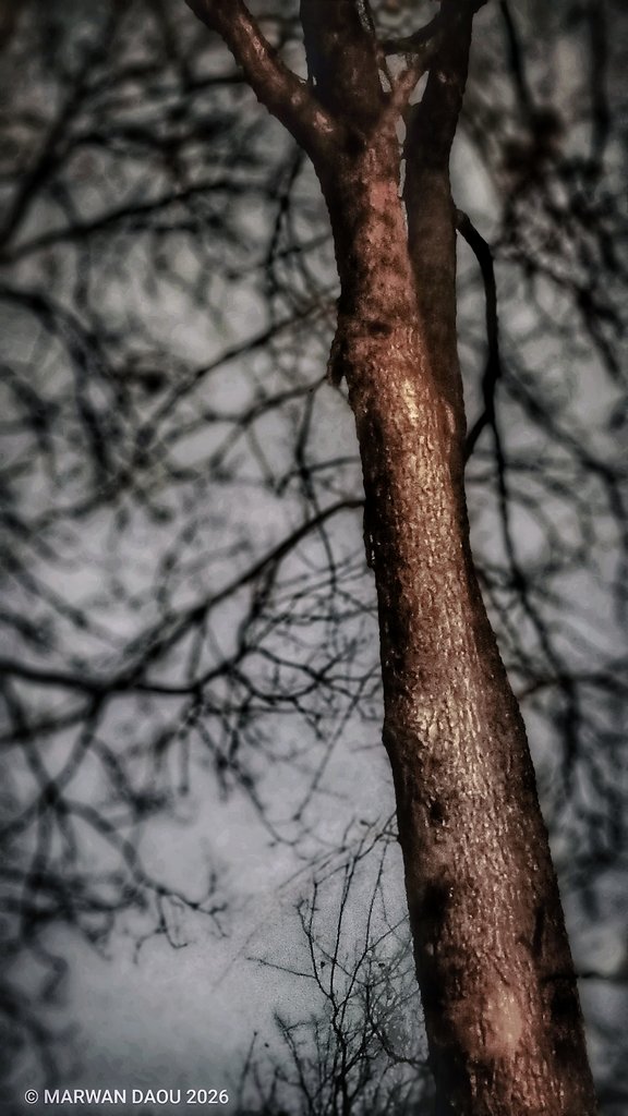 slade_core's tweet image. The whole Planet walks... dramatically.
#minimalism #naturephotography #experiment #darkart