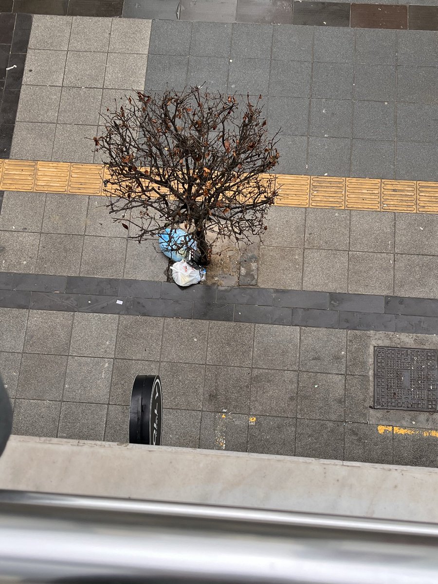 FSohtorik's tweet photo. Sokağa çöp atan arkadaşı tespit edip gerekli cezai işlemi uygular mısınız? Teşekkürler @BagcilarBld (kabahatlar kanunu - çevre kanunu) https://t.co/E9zWTdiPPt