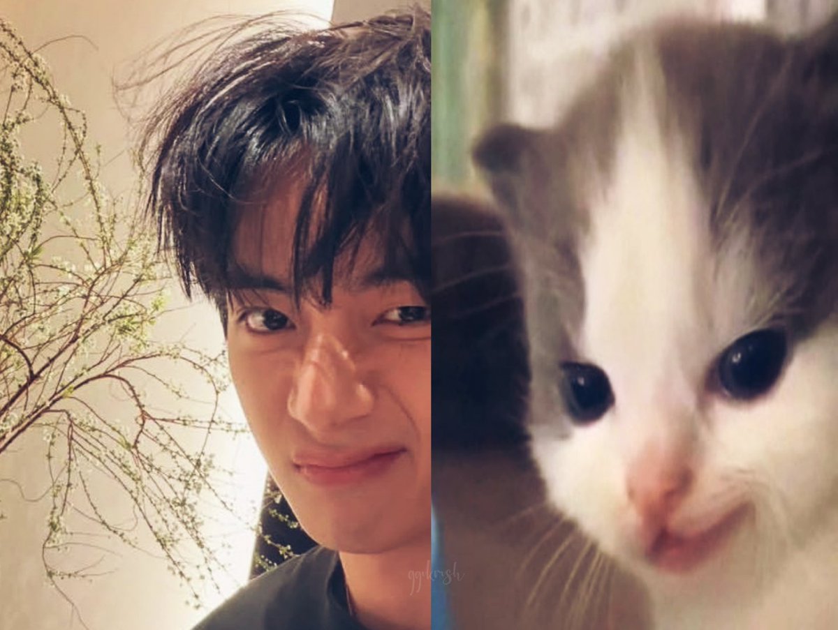 :p (@suggukru) on Twitter photo 