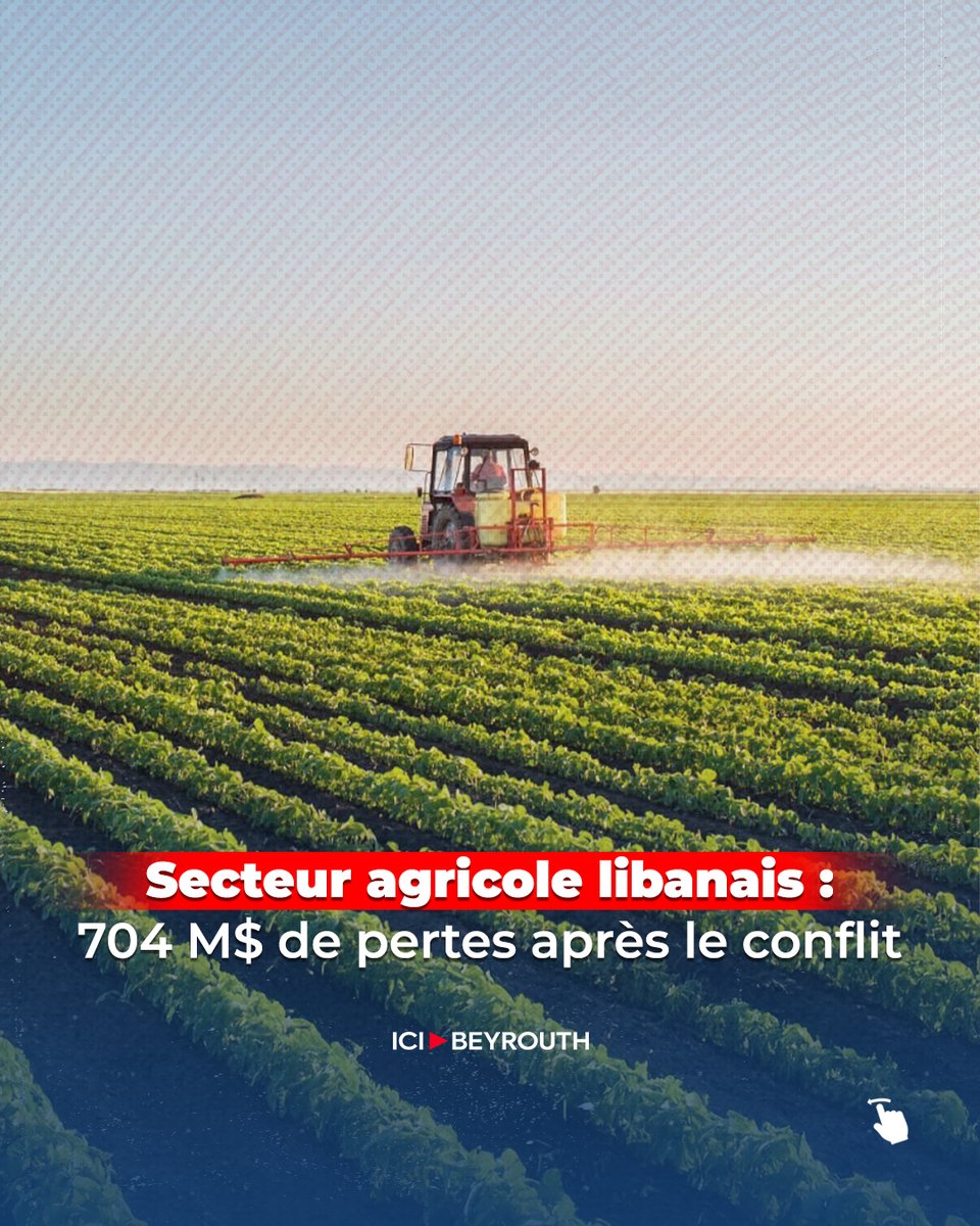 Icibeyrouthnews's tweet photo. Le #conflit au Liban (oct. 2023 – nov. 2024) a provoqué 704 M$ de #pertes dans le secteur de l’#agriculture, affectant le secteur végétal, l’élevage, les forêts et la pêche.

Pour en savoir plus, lisez l'article sur #IciBeyrouth via le lien: https://t.co/MeX8bJjZKw https://t.co/nYoOaGImFQ