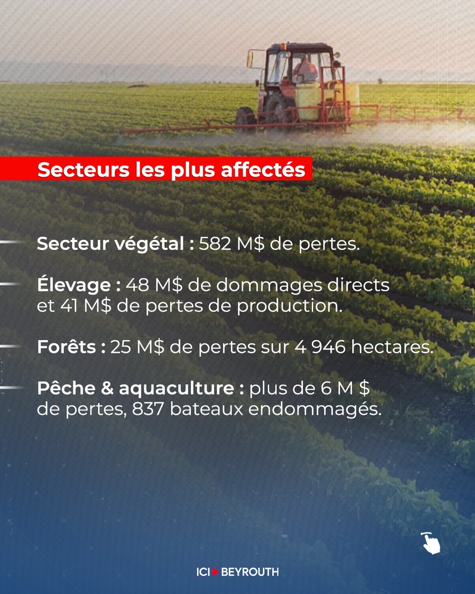 Icibeyrouthnews's tweet photo. Le #conflit au Liban (oct. 2023 – nov. 2024) a provoqué 704 M$ de #pertes dans le secteur de l’#agriculture, affectant le secteur végétal, l’élevage, les forêts et la pêche.

Pour en savoir plus, lisez l'article sur #IciBeyrouth via le lien: https://t.co/MeX8bJjZKw https://t.co/nYoOaGImFQ