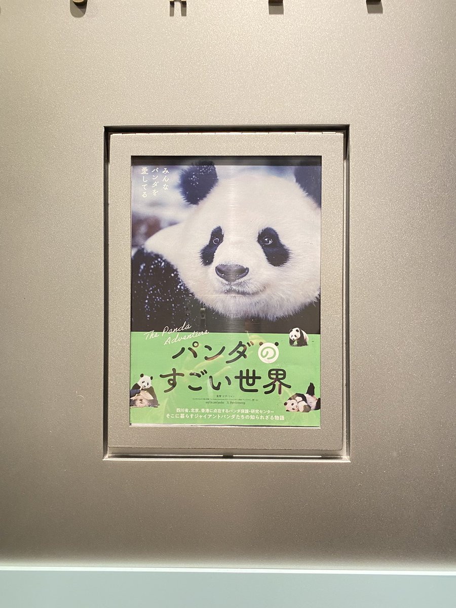 パンダライター 二木繁美｜『水曜日のお嬢様』発売中 (@Pandaexn