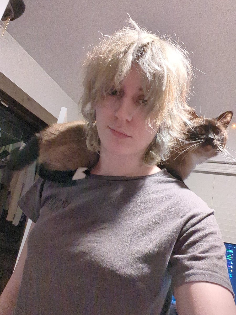 I've obtained a familiar