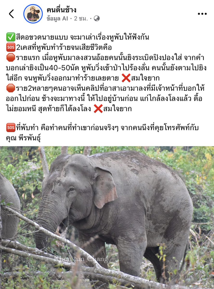 Nuchzii00's tweet image. นักข่าวไปสัมภาษณ์คุณป้าที่อยู่ในพื้นที่ท่านนึง
นักข่าวถามว่า : พับดุร้ายมั้ย
คุณป้าตอบว่า : พูดแบบบ้านๆเลยนะ พับสู้แบบ "หมาจนตรอก" 
แต่กลับมีคนเลวๆไม่กี่คนยัดเยียดคำว่าดุร้ายให้น้อง
#สีดอหูพับ